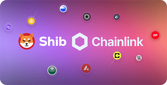 Shiba Inu goes Multichain!